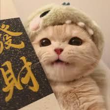Xun You