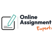 Online Assignment Expert