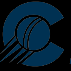 Cbtorg Insights