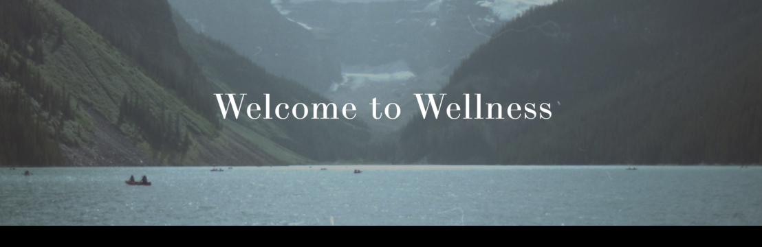 WHOLE Wellness Therapy Services