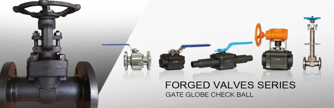 Forged Valves