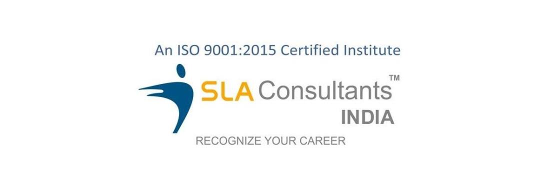 SLA Consultants Delhi